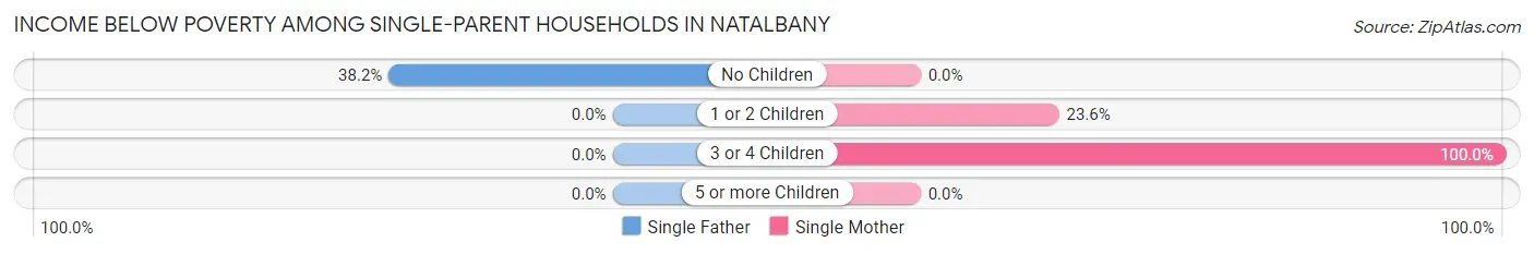 Income Below Poverty Among Single-Parent Households in Natalbany