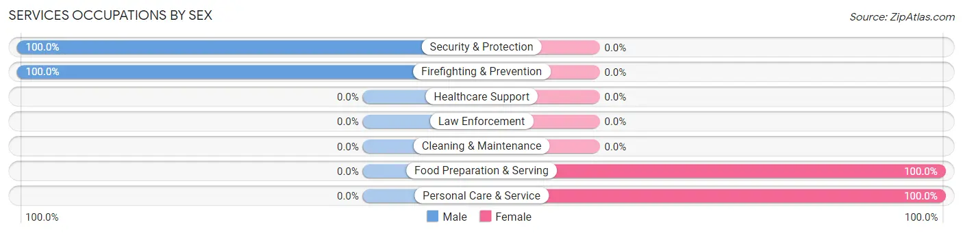 Services Occupations by Sex in New Orleans Station