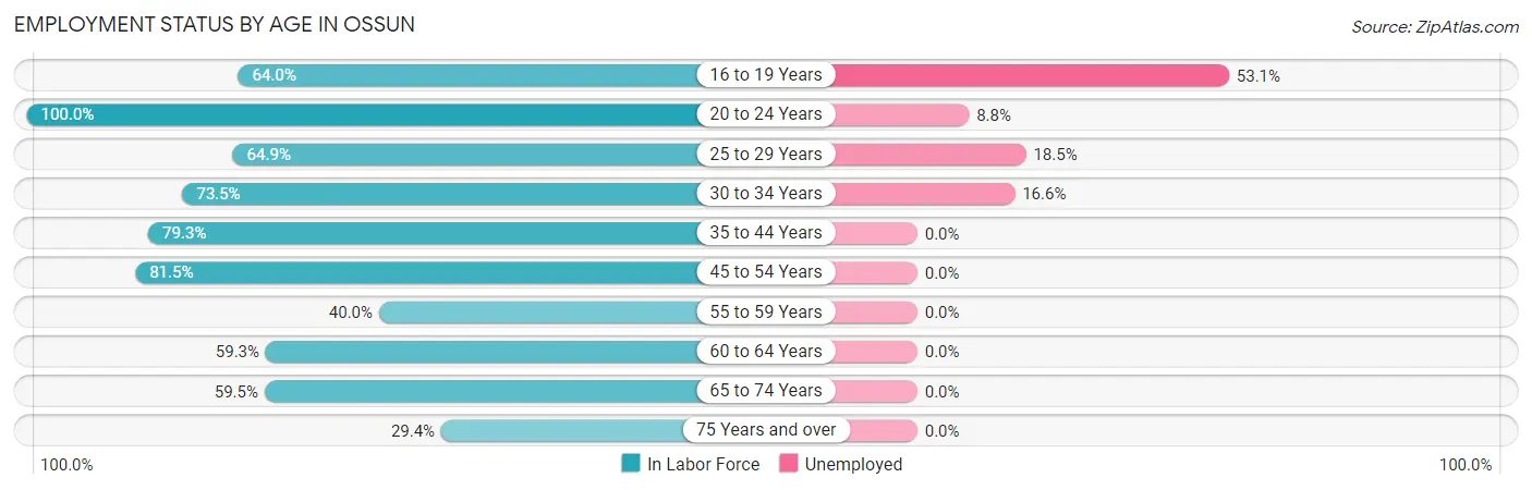 Employment Status by Age in Ossun