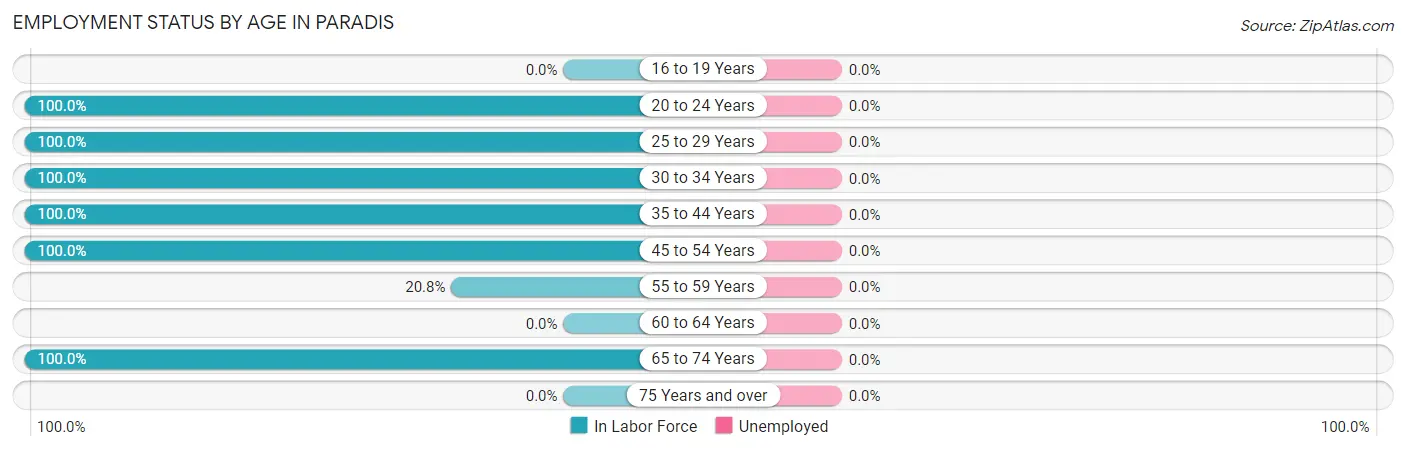 Employment Status by Age in Paradis