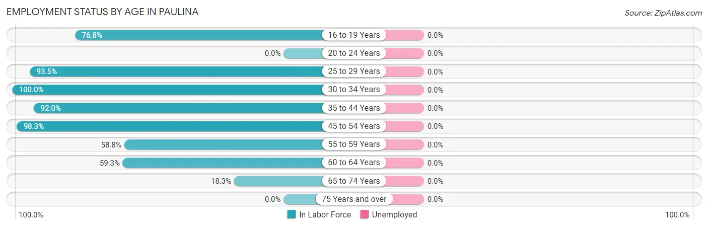 Employment Status by Age in Paulina