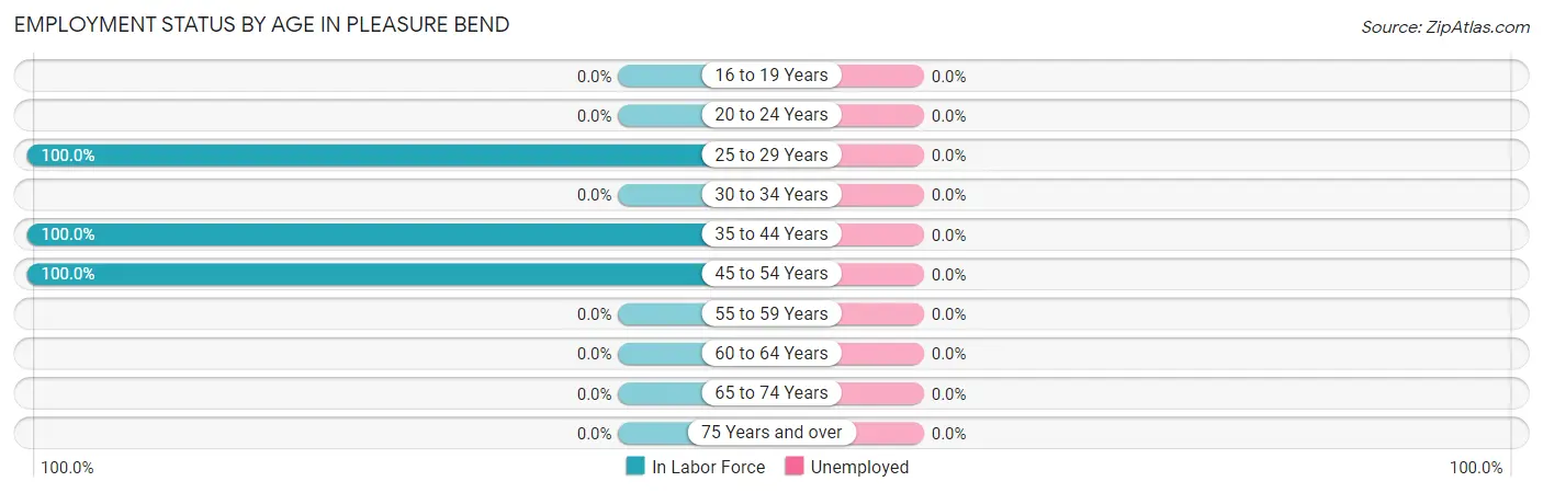 Employment Status by Age in Pleasure Bend