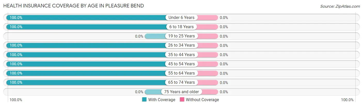 Health Insurance Coverage by Age in Pleasure Bend
