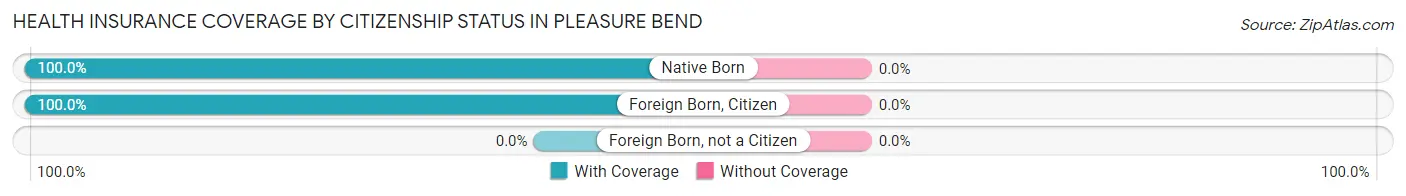 Health Insurance Coverage by Citizenship Status in Pleasure Bend