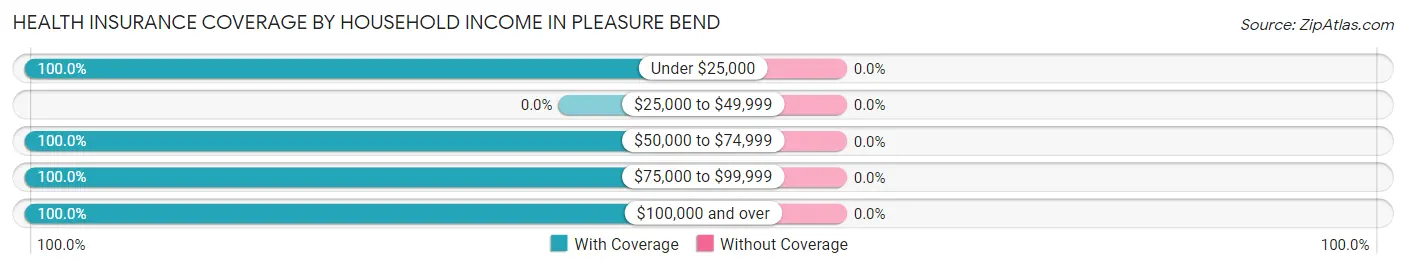 Health Insurance Coverage by Household Income in Pleasure Bend