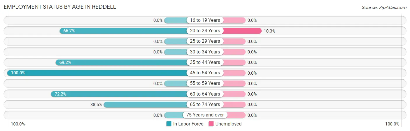 Employment Status by Age in Reddell
