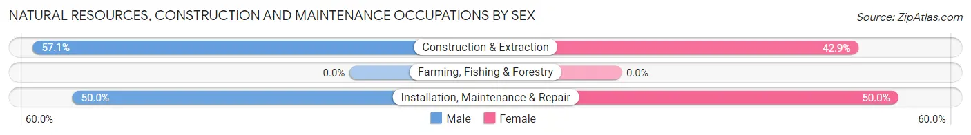 Natural Resources, Construction and Maintenance Occupations by Sex in Robeline