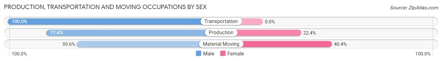 Production, Transportation and Moving Occupations by Sex in St Martinville