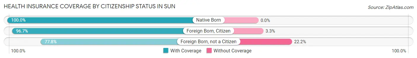 Health Insurance Coverage by Citizenship Status in Sun
