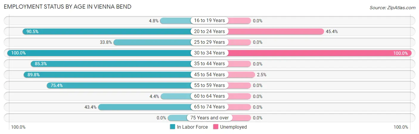 Employment Status by Age in Vienna Bend