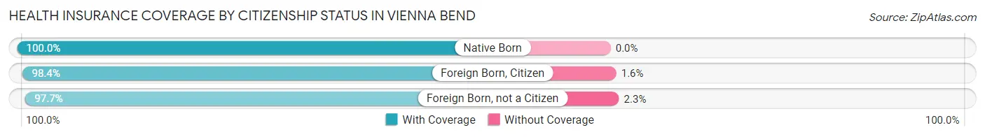 Health Insurance Coverage by Citizenship Status in Vienna Bend