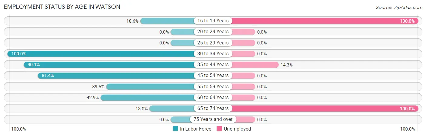 Employment Status by Age in Watson