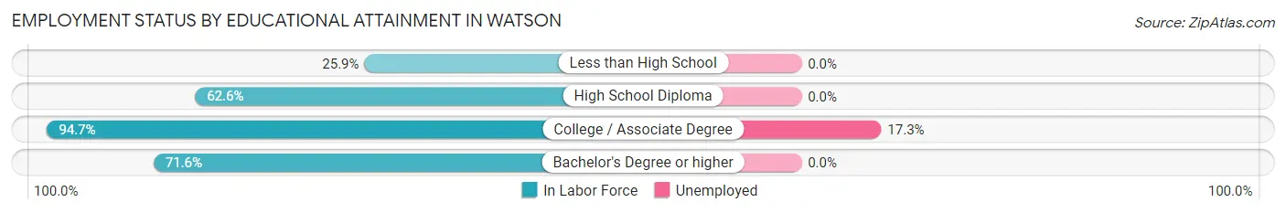 Employment Status by Educational Attainment in Watson