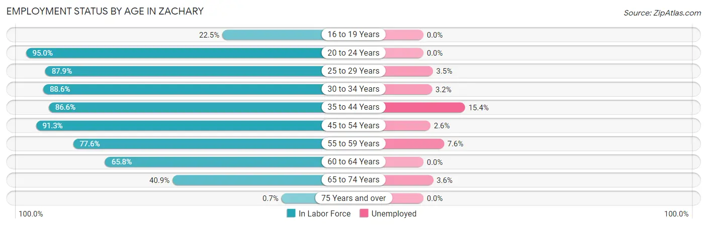 Employment Status by Age in Zachary