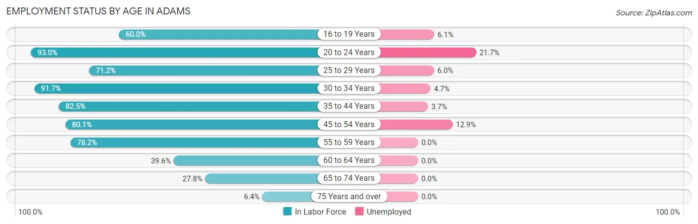 Employment Status by Age in Adams