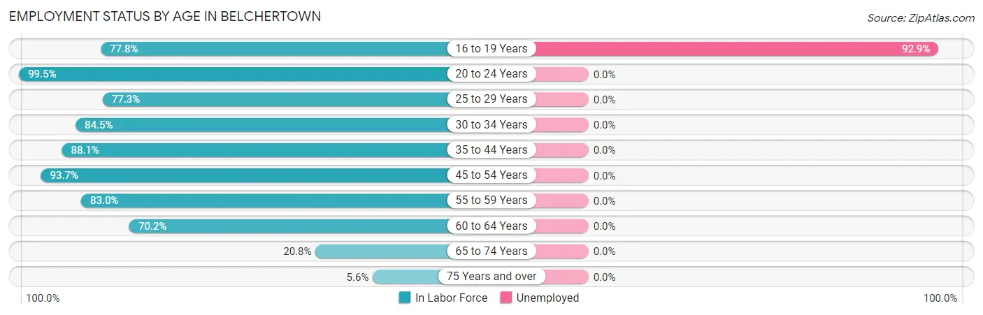 Employment Status by Age in Belchertown