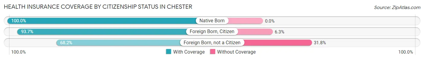 Health Insurance Coverage by Citizenship Status in Chester