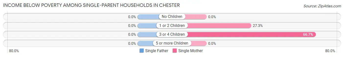 Income Below Poverty Among Single-Parent Households in Chester
