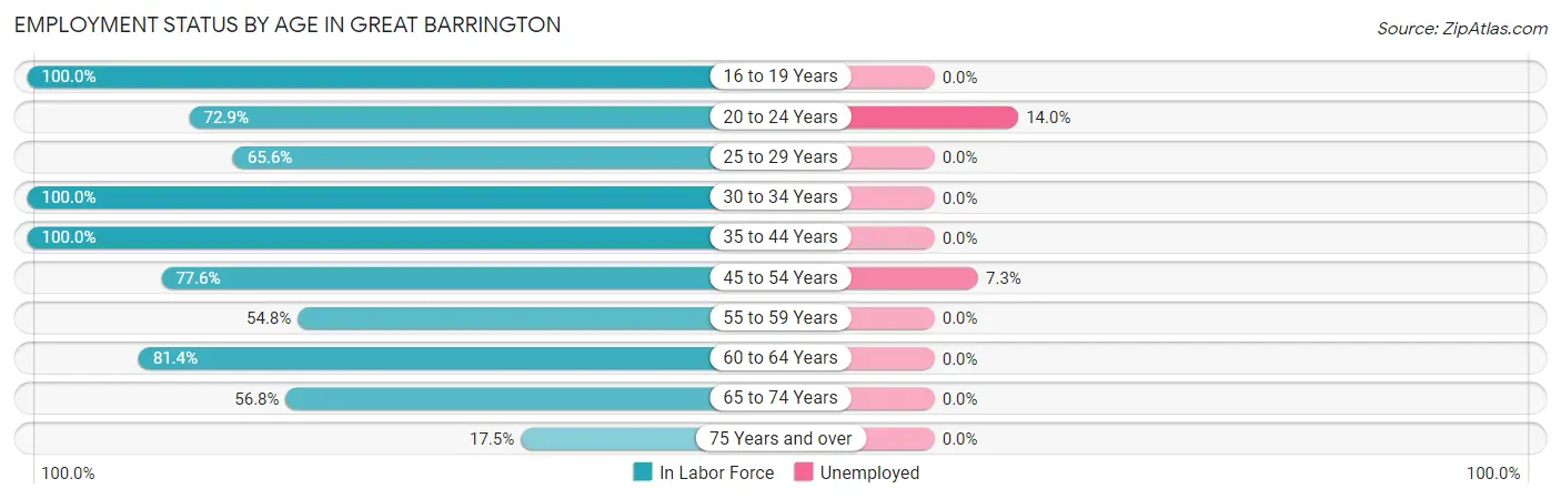 Employment Status by Age in Great Barrington
