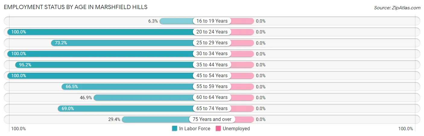 Employment Status by Age in Marshfield Hills