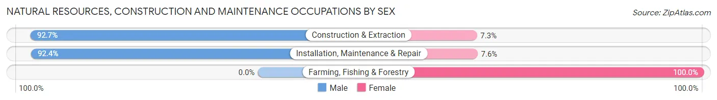 Natural Resources, Construction and Maintenance Occupations by Sex in Methuen Town