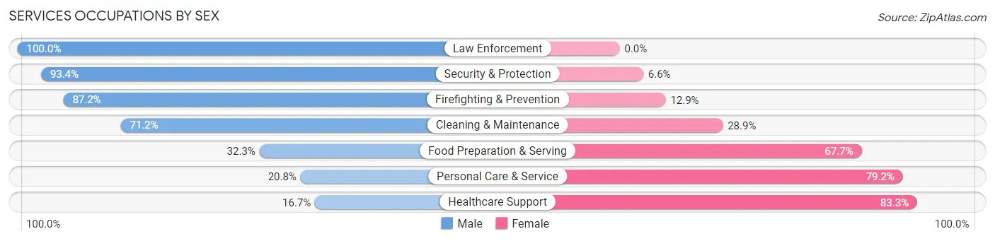 Services Occupations by Sex in Methuen Town