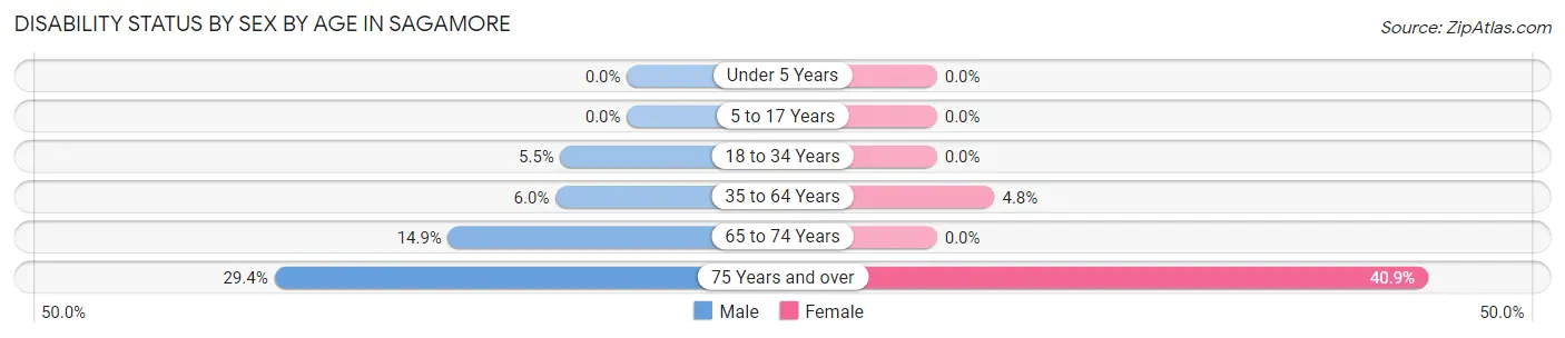 Disability Status by Sex by Age in Sagamore