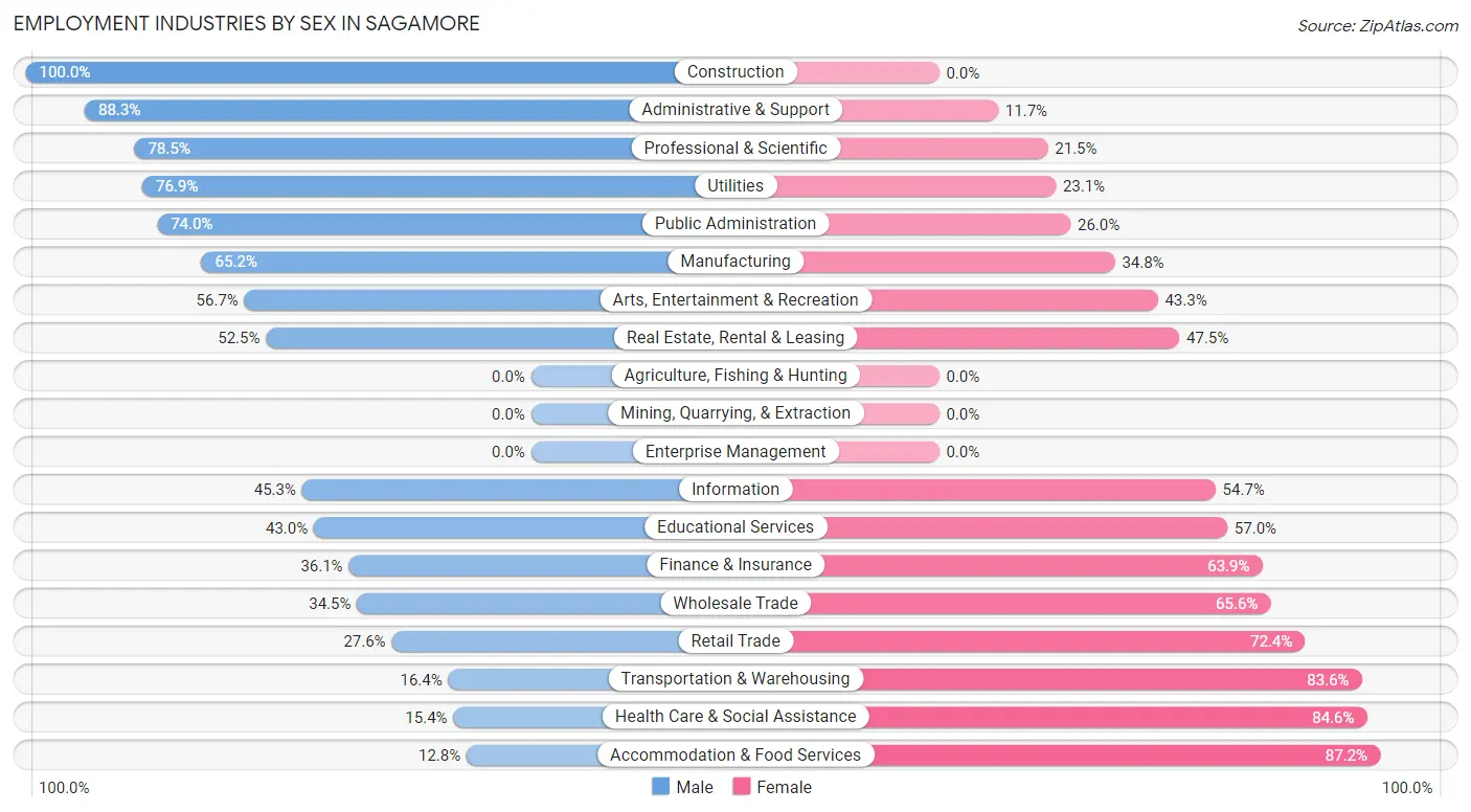 Employment Industries by Sex in Sagamore