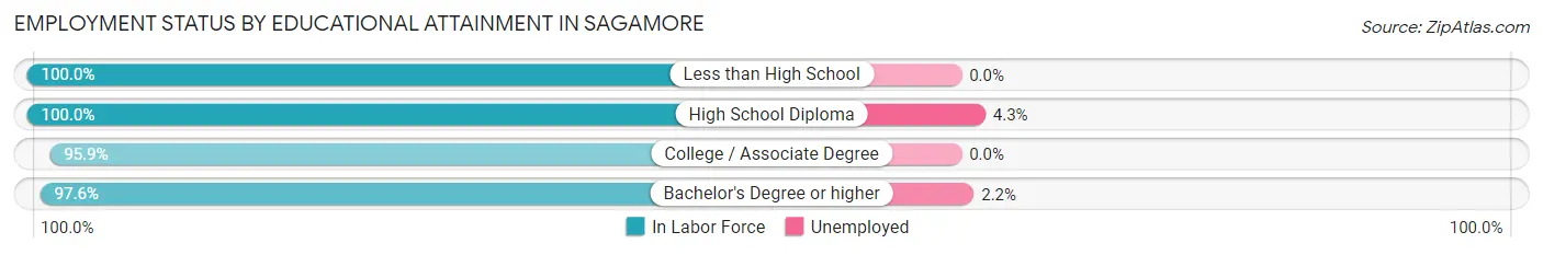 Employment Status by Educational Attainment in Sagamore