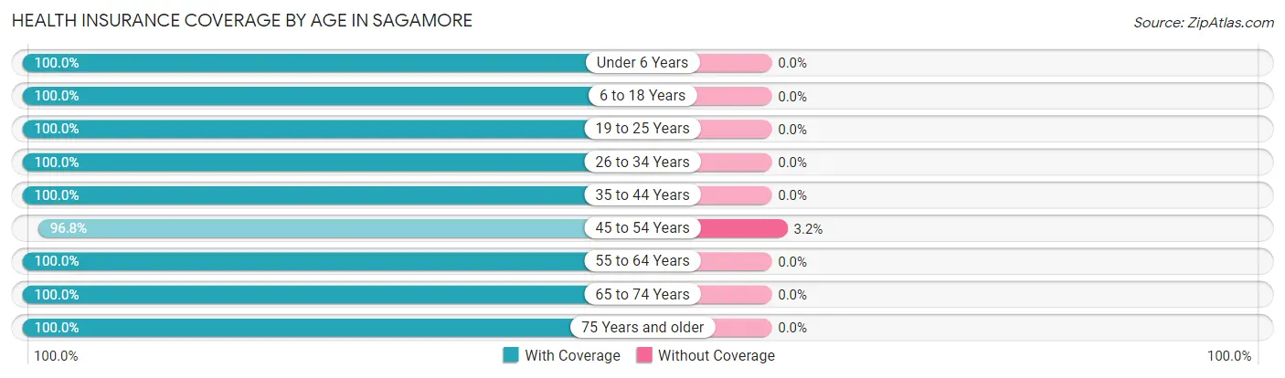 Health Insurance Coverage by Age in Sagamore