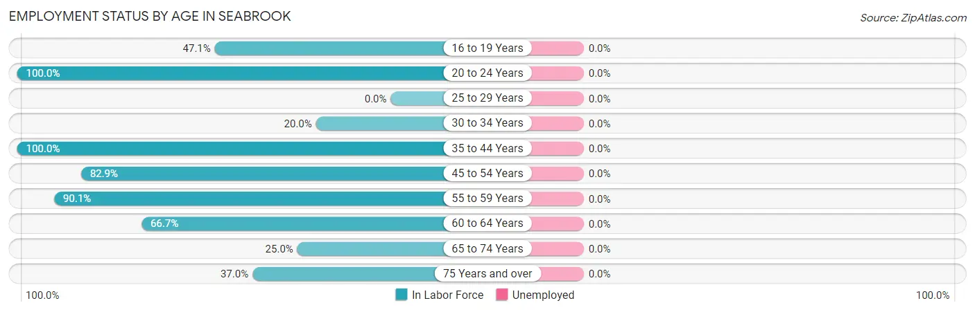 Employment Status by Age in Seabrook