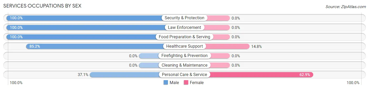 Services Occupations by Sex in West Falmouth
