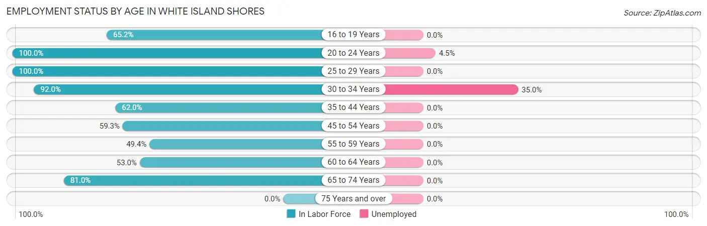 Employment Status by Age in White Island Shores