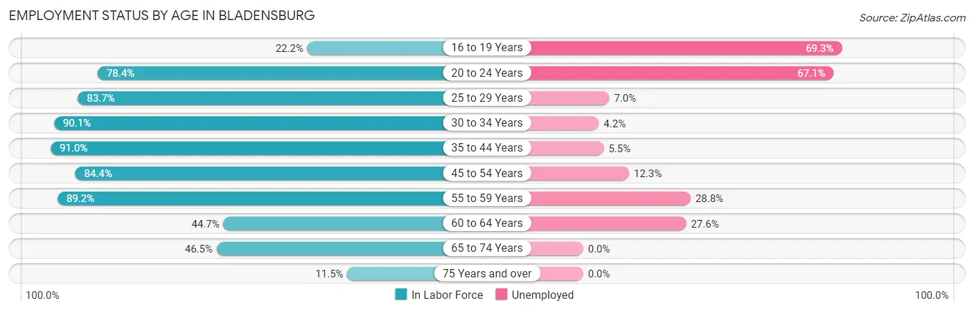 Employment Status by Age in Bladensburg