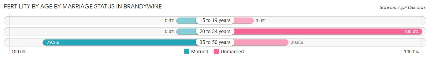 Female Fertility by Age by Marriage Status in Brandywine