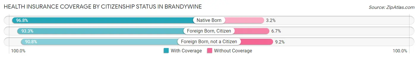 Health Insurance Coverage by Citizenship Status in Brandywine