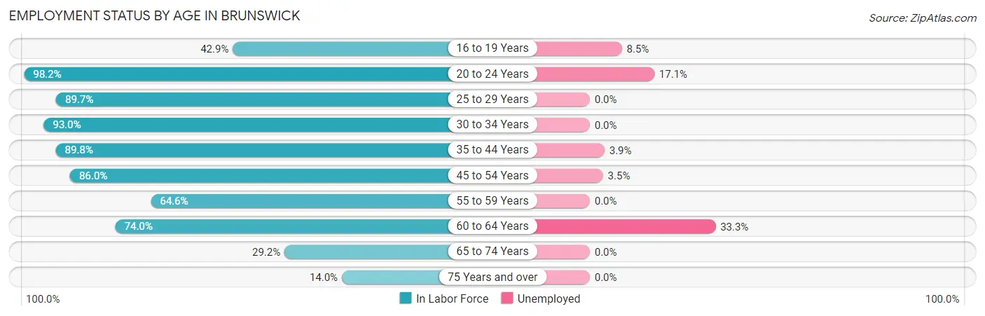 Employment Status by Age in Brunswick