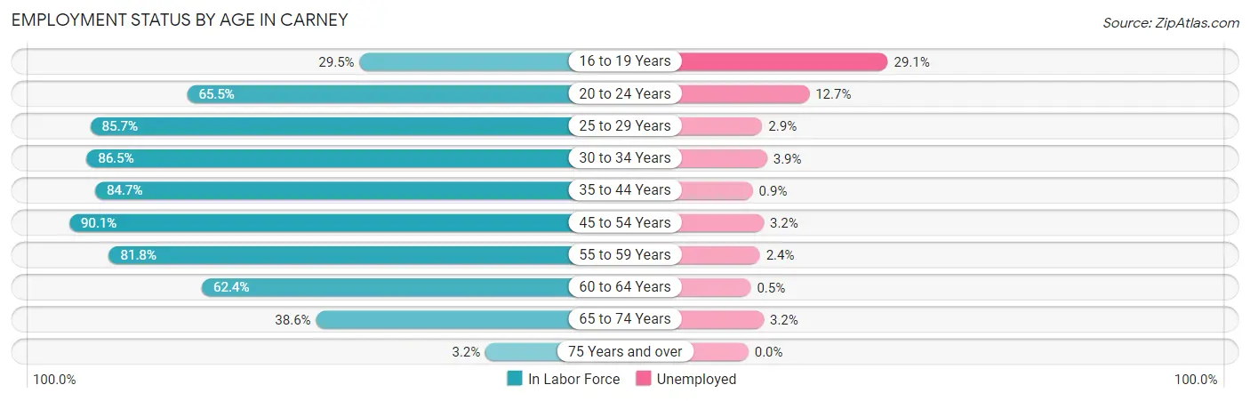 Employment Status by Age in Carney