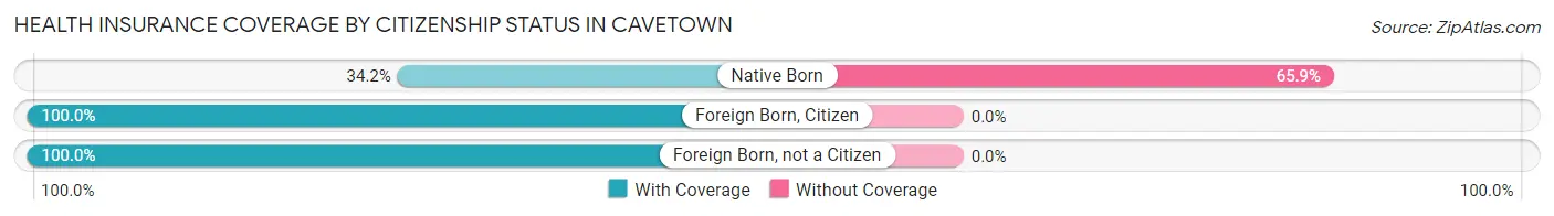 Health Insurance Coverage by Citizenship Status in Cavetown