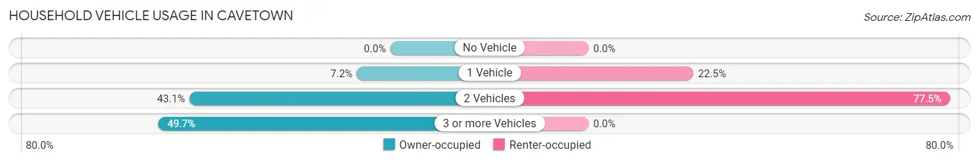 Household Vehicle Usage in Cavetown
