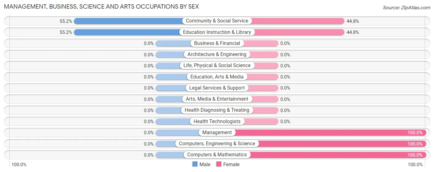 Management, Business, Science and Arts Occupations by Sex in Chewsville