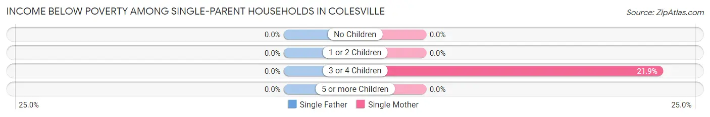 Income Below Poverty Among Single-Parent Households in Colesville
