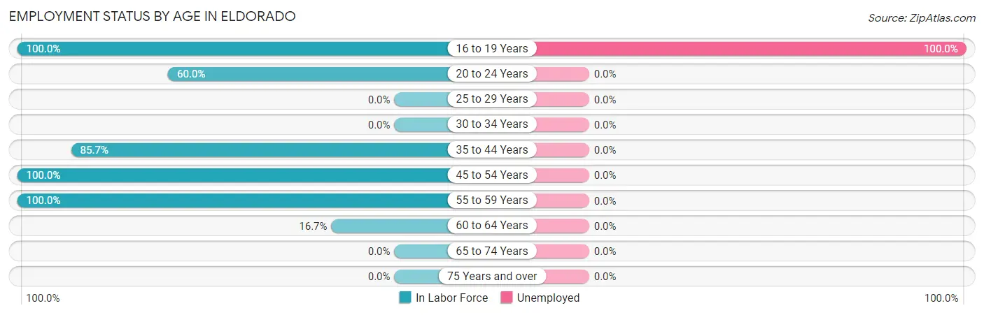 Employment Status by Age in Eldorado