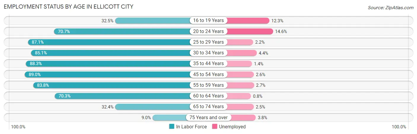 Employment Status by Age in Ellicott City