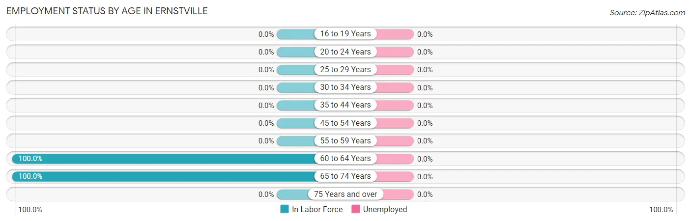 Employment Status by Age in Ernstville