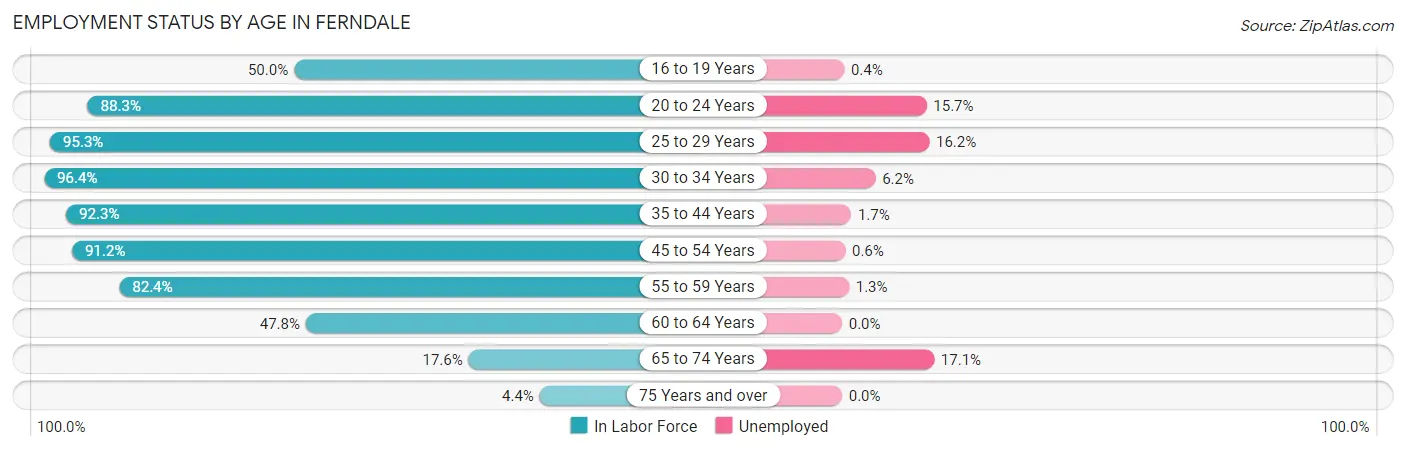 Employment Status by Age in Ferndale
