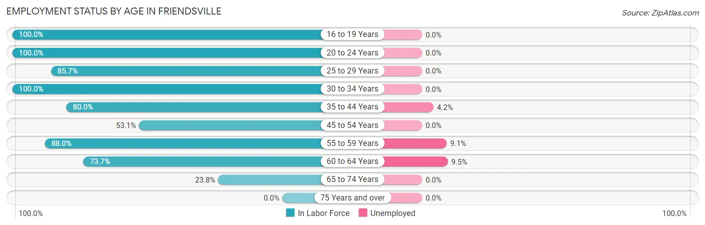 Employment Status by Age in Friendsville