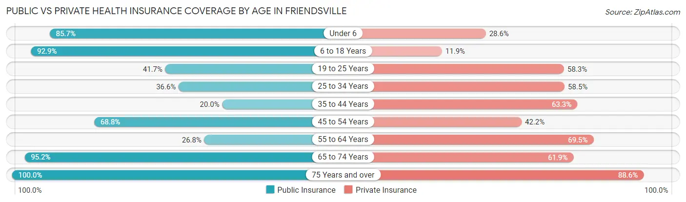Public vs Private Health Insurance Coverage by Age in Friendsville