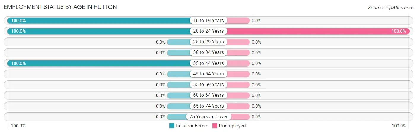 Employment Status by Age in Hutton