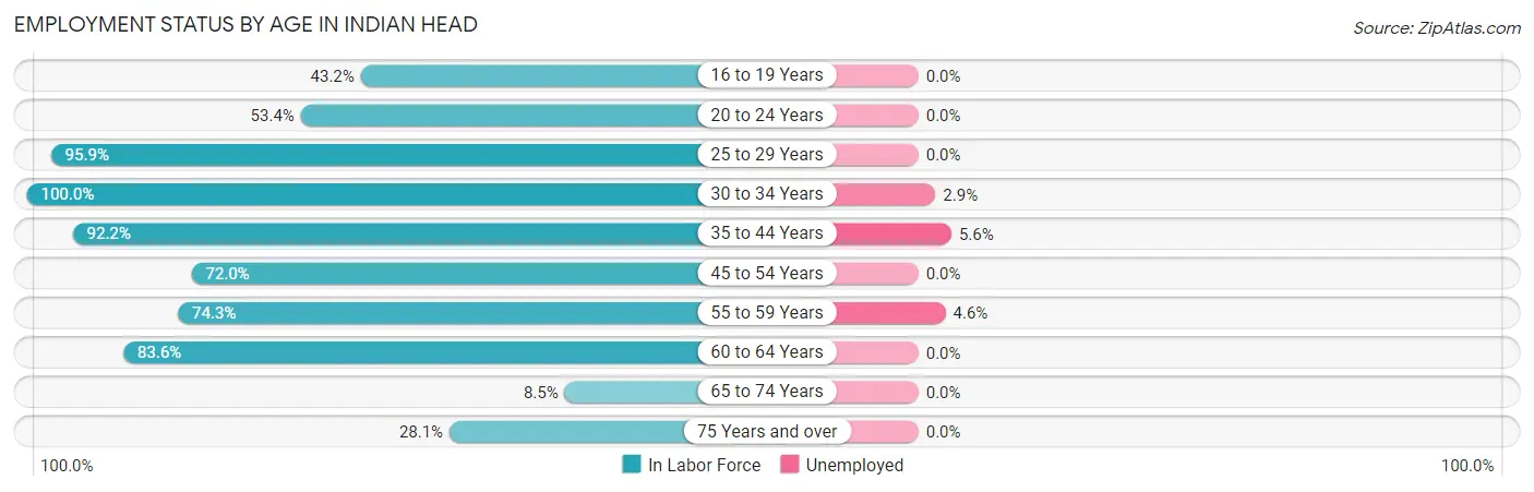 Employment Status by Age in Indian Head